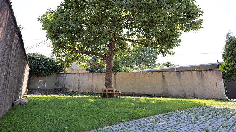 Cour de l'école de Terrenoire végétalisée